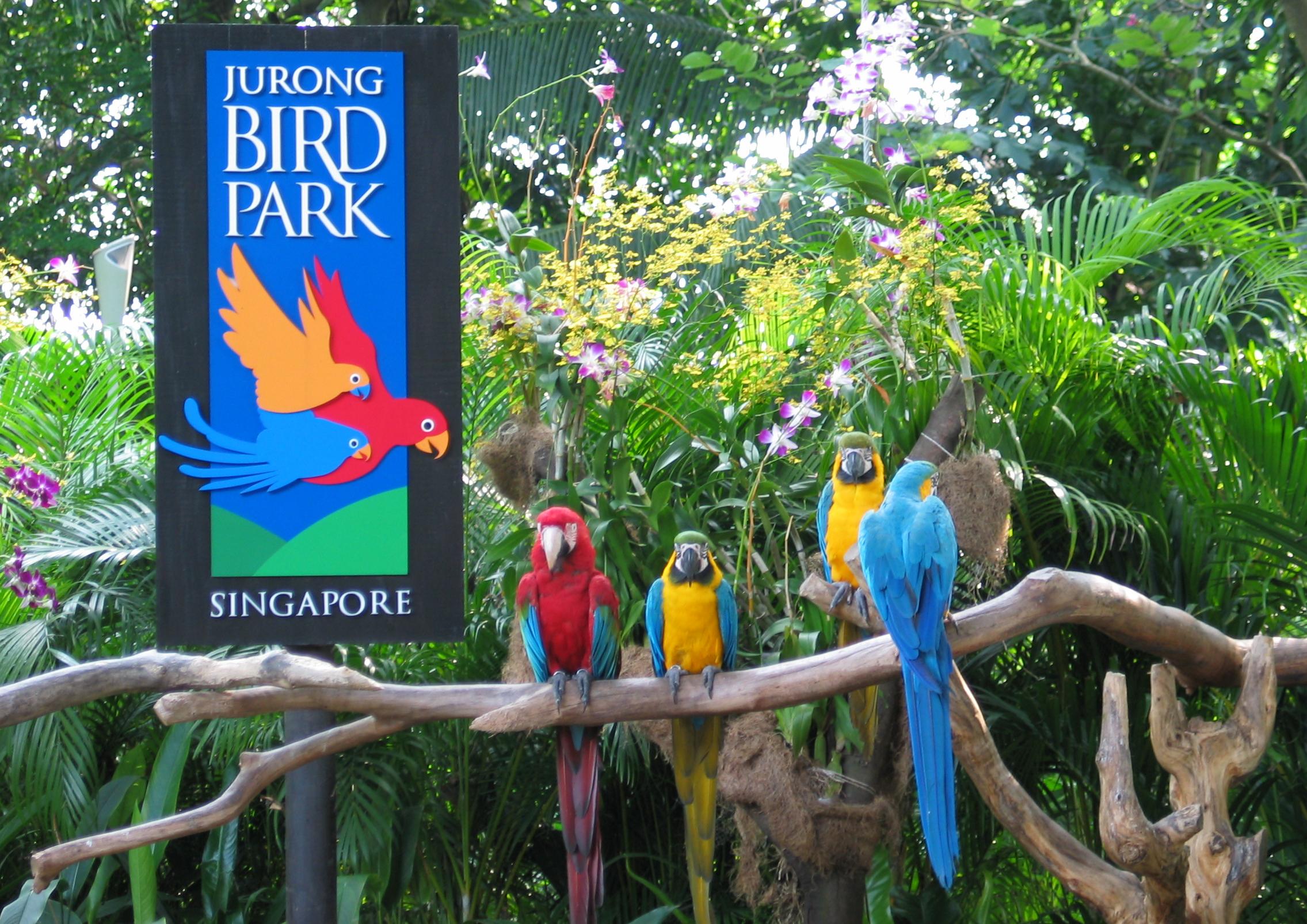 Jurong Bird Park Singapore - One Day